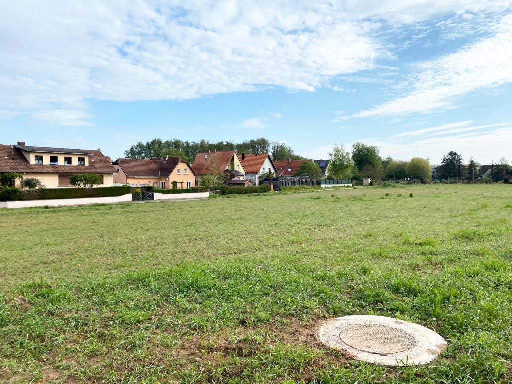 Les Saules II