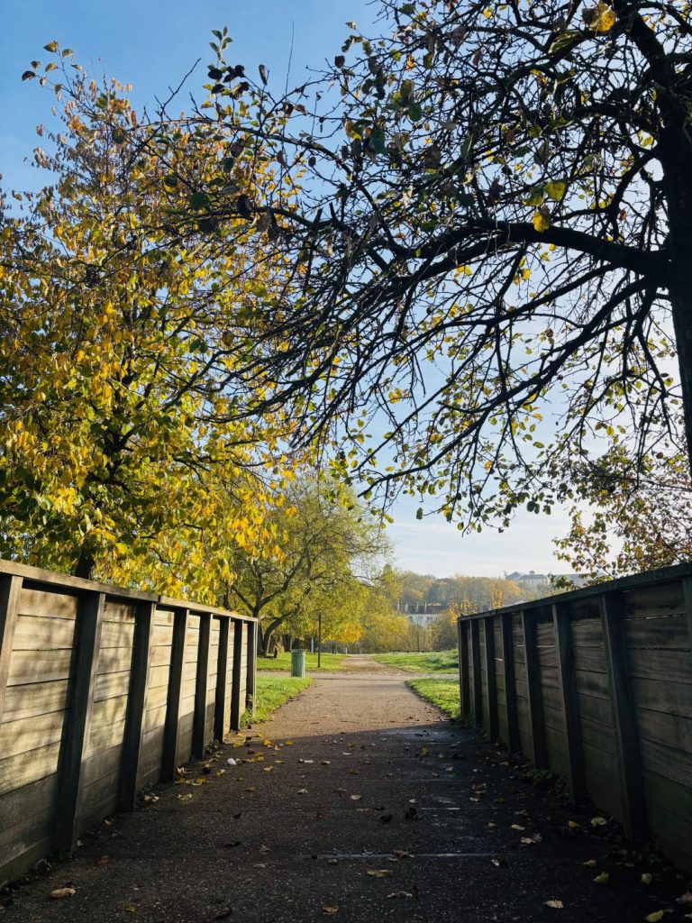 Appartement neuf d’exception T4 de 75.58 m² – LOT I202