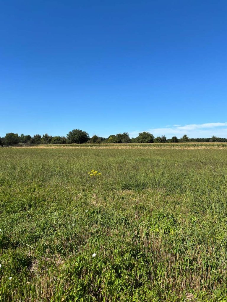 LOT9
