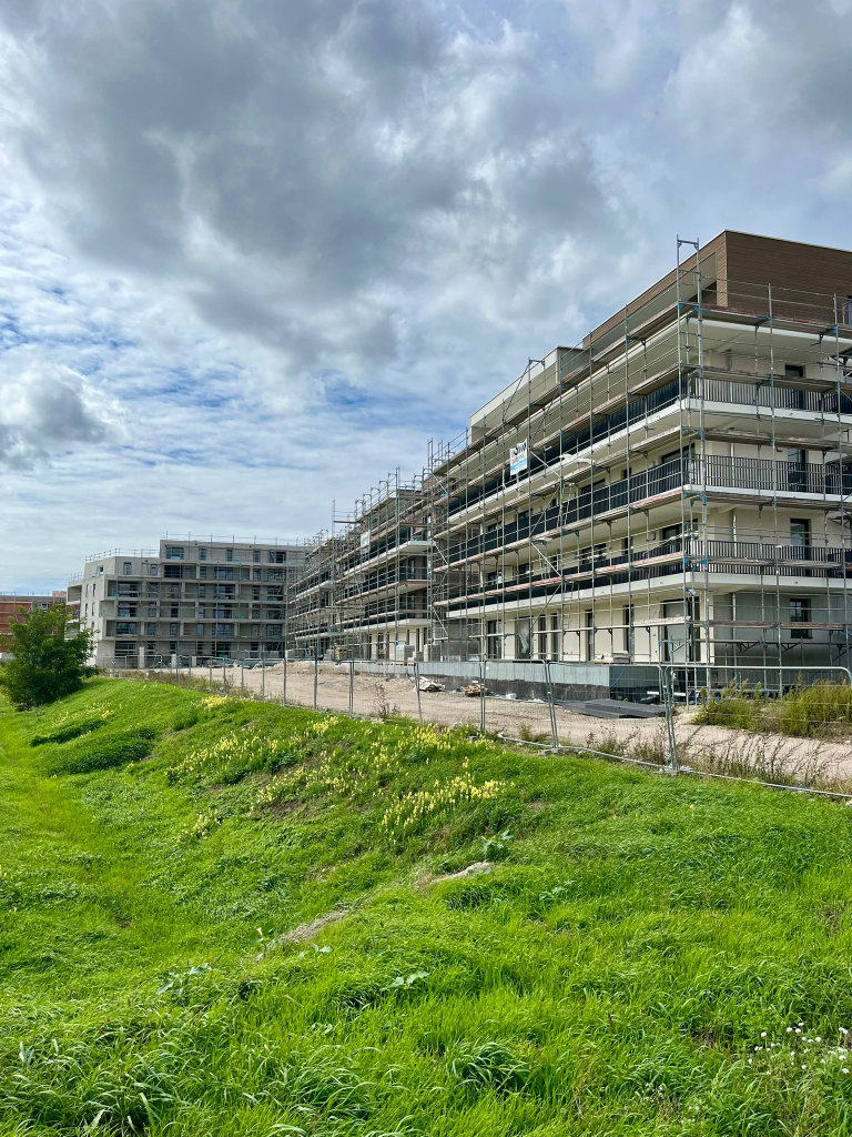 Confidences – Haguenau : on pose le décor