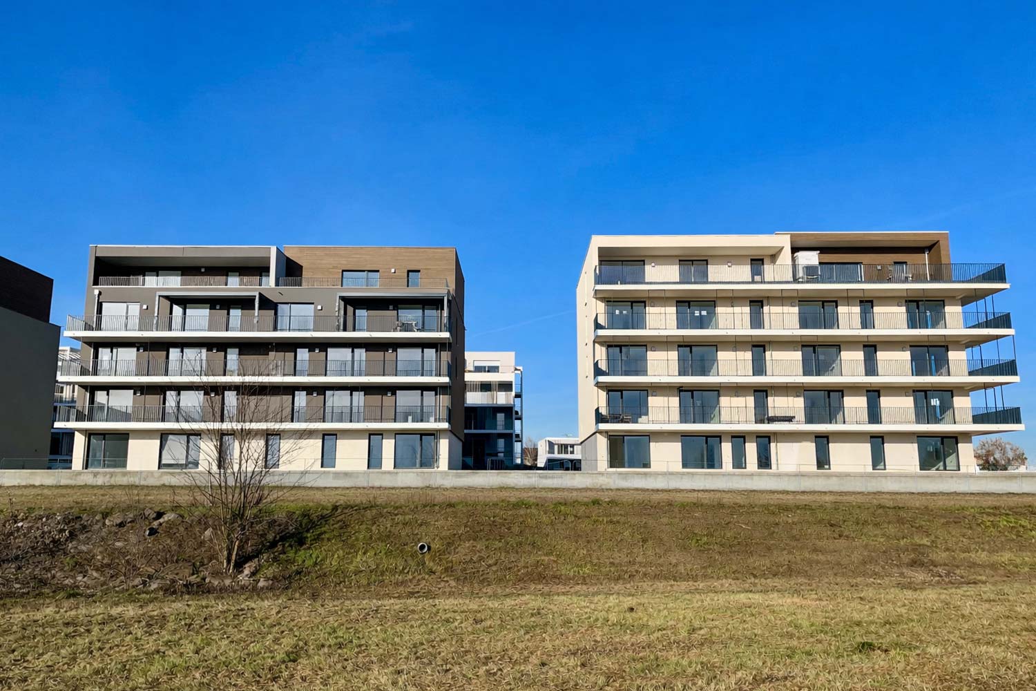 Portes ouvertes Haguenau – Résidence Confidences