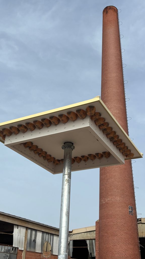 Livraison de 76 nouveaux logements… pour hirondelles ! 🕊️