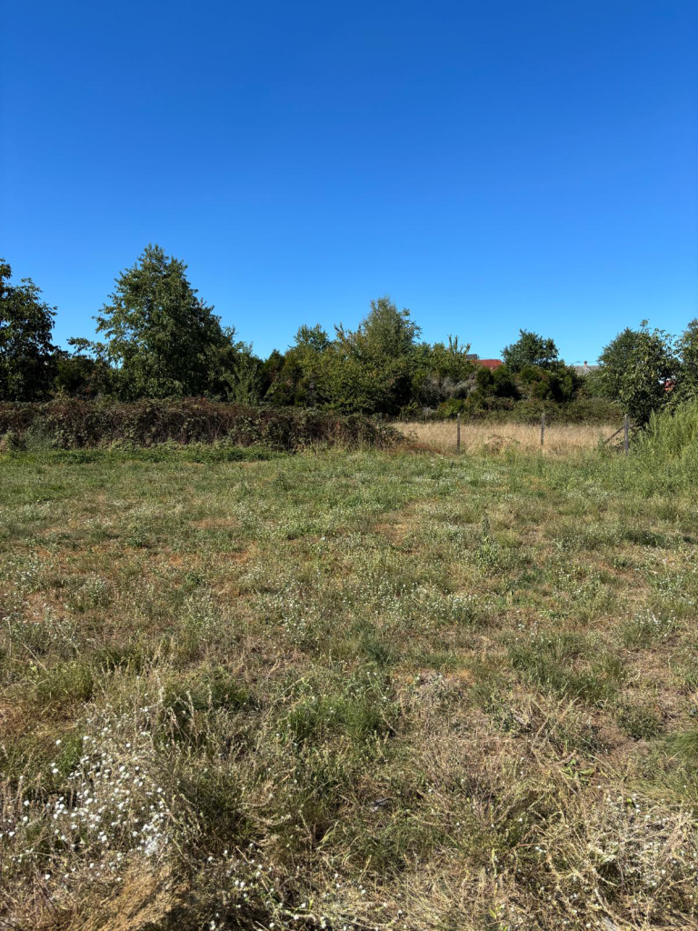 Le Parc des Houblonniers