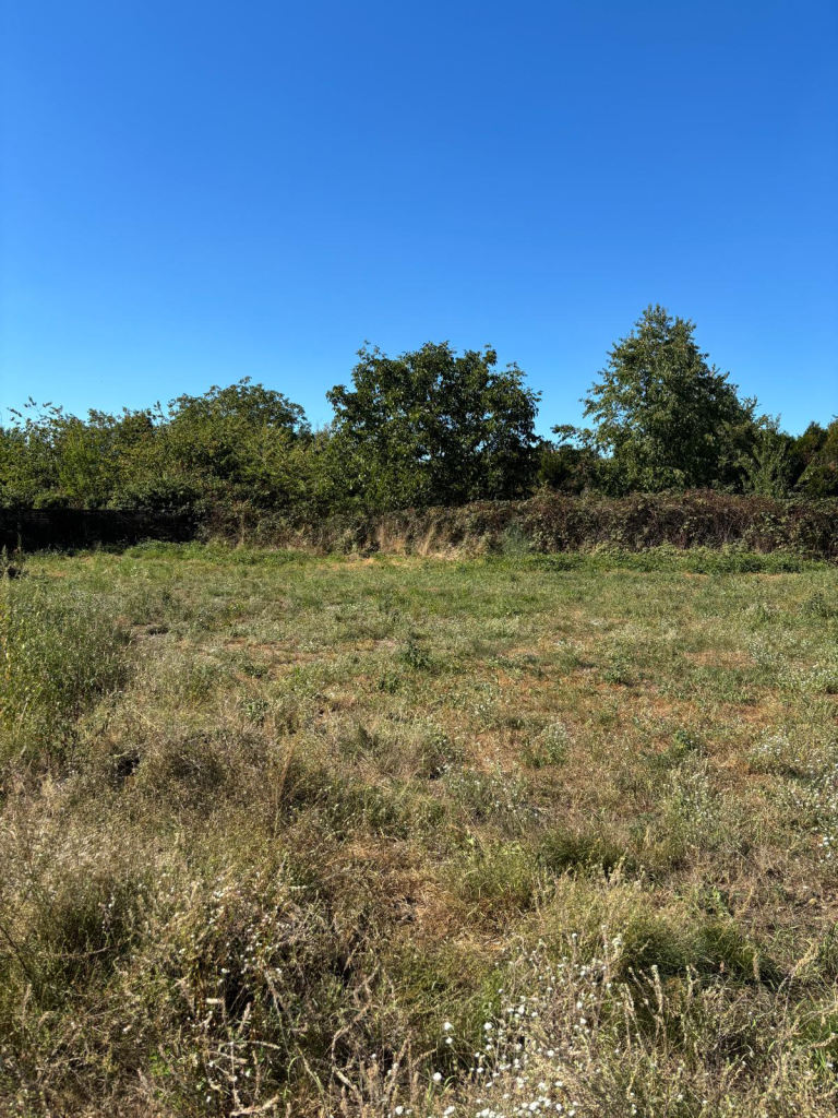 Le Parc des Houblonniers